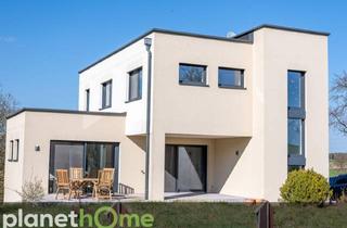 Einfamilienhaus kaufen in 3376 Ennsbach, Attraktives Einfamilienhaus im Bauhaus-Stil auf einem großen, naturbelassenen Grundstück