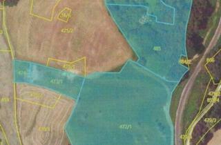Immobilie kaufen in 8362 Tautendorf bei Fürstenfeld, 3,6 ha große landwirtschaftliche Nutzfläche in Tautendorf