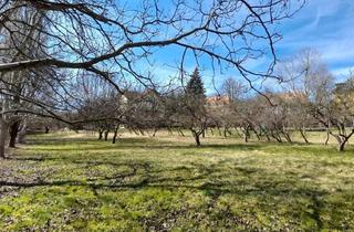 Grundstück zu kaufen in 8230 Hartberg, Sonniger Baugrund im Kerngebiet, Gewebe- und Wohnnutzung