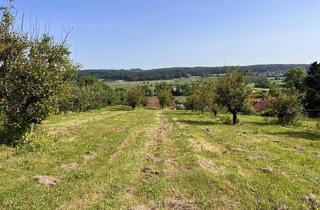 Gewerbeimmobilie kaufen in 8262 Mutzenfeld, Landwirtschaftliche Fläche mit Obstbaukulturen ca. 1,2 ha zu verkaufen.