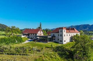 Haus kaufen in 9100 Völkermarkt, Land & Gut: Arrondierte Allein- & Aussichtslage - Schloss Kolhof.