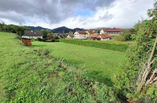 Grundstück zu kaufen in 8662 Mitterdorf im Mürztal, Bauträgergrundstück! 6265 m2 Eigengrund! Kein Bauzwang! Ruhelage und Aussicht!