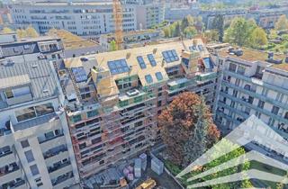 Penthouse kaufen in Pillweinstraße 44 - 46, 4020 Linz, Rascher Baufortschritt! "PILLmein" - 72 m² Gartenwohnung mit 52 m² Außenbereich (Top 2.1)