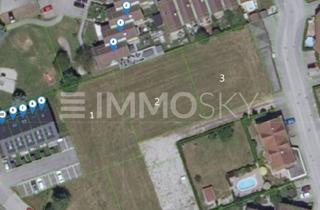 Grundstück zu kaufen in 5204 Straßwalchen, VIEL PLATZ FÜR IHRE TRÄUME: 2.340 m2 ohne Bauzwang in Straßwalchen!