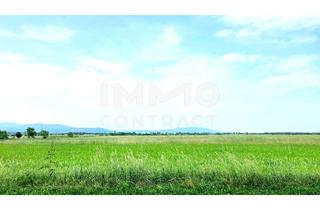 Grundstück zu kaufen in 2751 Matzendorf, Großes Grundstück in Ruhelage mit Weitblick - für Bauträger oder Privatperson