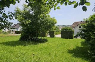 Grundstück zu kaufen in 4501 Neuhofen an der Krems, Baugrund - Neuhofen an der Krems