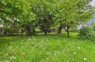 Grundstück zu kaufen in Kaiserin-Elisabeth-Straße, 6845 Hohenems, Baugrund in Hohenems: Ruhige Lage, Zentrumsnähe, großes Potenzial