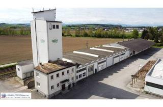 Büro zu mieten in 4300 Sankt Valentin, Großzügige Industriehalle in St. Valentin - 1311 m² zur Miete für Ihre Geschäftsideen, inkl. Büroräume auf 2 Etagen