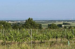 Grundstück zu kaufen in 3481 Fels am Wagram, „LETZTE CHANCE“