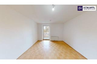 Wohnung kaufen in 8020 Graz, Preisreduktion! Erstbezug nach Sanierung: Moderne Stadtwohnung in zentraler Lage in Graz: 65 m² - 2 Zimmer - große Wohnküche & Eigengarten! Gleich anfragen und Besichtigungstermin vereinbaren! PROVISIONSFREI!
