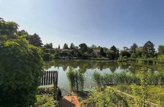 Haus kaufen in Steinbrunn, 7035 Steinbrunn, 7035 Steinbrunn: Ferienhaus mit Seezugang - Nur 45 Minuten von Wien
