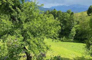 Wohnung mieten in 6382 Kirchdorf in Tirol, Ruhige helle Wohnung mit toller Aussicht - Freizeitwohnsitz!!!