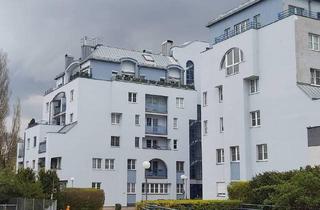 Wohnung mieten in Babenberger Ring 9a, 2700 Wiener Neustadt, TOP sanierte 2-Zimmer-Wohnung mit Balkon inkl. Heizkosten im Dachgeschoß