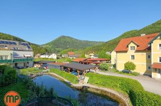 Wohnung kaufen in Öko-Dorf, 3171 Kleinzell, 4-Zimmer-Familientraum mit Schwimmteich