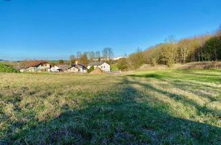Grundstück zu kaufen in 4631 Haiding, TOP ! Traumhafter Baugrund in Krenglbach in Ruhelage !