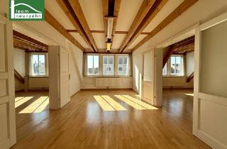 Büro zu mieten in Hauptplatz, 2460 Bruck an der Leitha, Helle Büro- oder Kanzleiräumlichkeit in Toplage am Hauptplatz von Bruck an der Leitha!