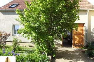 Mehrfamilienhaus kaufen in 2022 Immendorf, Schönes, großes Mehrfamilienhaus mit uneinsichtigem Arkadeninnenhof, Terrasse und großem Garten in Schalladorf! Nähe Wullersdorf und Hollabrunn! Für Bauträger oder betreutes Wohnen sowie als Pension oder Renditeobjekt i…