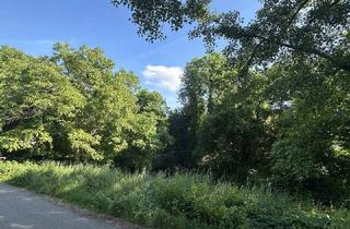 Wohnung kaufen in Baumergasse, 1210 Wien, ANLAGE- Baumer 21– Coole Starterwohnung in sehr ruhiger Lage, Nähe U6 Stadion Floridsdorf