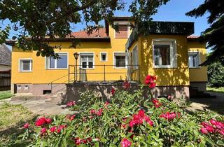 Einfamilienhaus kaufen in 2272 Ringelsdorf, Gestalten Sie mit! - Einfamilienhaus für kreative Bauherren!