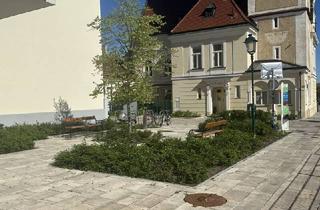 Wohnung mieten in 2351 Wiener Neudorf, Sonnige, barrierefreies Büro beim Rathaus/ der Badner Bahn und Bhf. Mödling