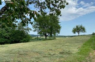 Grundstück zu kaufen in 7532 Litzelsdorf, Schönes großes Grundstück in Aussichtslage