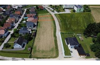 Grundstück zu kaufen in Haizingerstraße, 4081 Hartkirchen, Attraktives Baugrundstück in Hartkirchen – ideal für Ihr Traumhaus