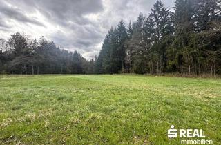 Grundstück zu kaufen in 4722 Steegen, Landwirtschaftliches Wiesengrundstück