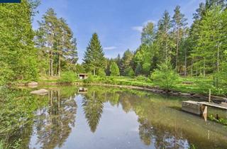 Immobilie kaufen in 3860 Heidenreichstein, NATURJUWEL WALDVIERTEL - Professionelle Waldteichanlage 4,3 ha - ANGEBOTSVERFAHREN