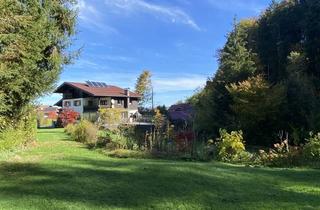 Grundstück zu kaufen in 5164 Seeham, SEEHAM | Idyllisches Grundstück mit Altbestand am Ortsrand