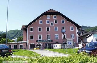 Wohnung mieten in 5400 Hallein, Wohnen mit Charme! hübsche 2-Zimmer-Wohnung mit Sonnenbalkon