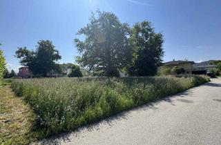 Grundstück zu kaufen in 6973 Höchst, Baugrundstück in beliebtester Wohnlage