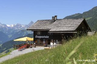 Gewerbeimmobilie mieten in 6782 Silbertal, Pachtgelegenheit im Montafon: Traditionsgasthaus am Kristberg