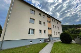 Wohnung kaufen in 2763 Pernitz, Singlehit in Pernitz – modernisiert und sofort bezugsfertig!