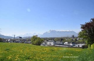 Wohnung mieten in 5101 Bergheim, Moderne 2-Zi-Wohnung Salzburg-Bergheim "Wohnen am Kirchfeld" in Panoramalage