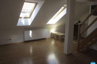 Loft mieten in Leopoldsgasse, 1020 Wien, Single Dachloft mit Terrasse für Sportler