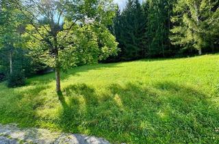 Grundstück zu kaufen in 8962 Gröbming, Attraktives Grundstück in Gröbming – Teilung in mehrere Grundstücke möglich