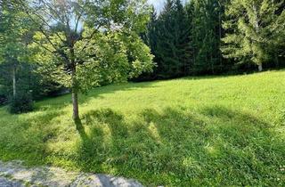 Grundstück zu kaufen in 8962 Gröbming, Attraktives Grundstück in Gröbming – Teilung in mehrere Grundstücke möglich