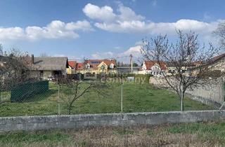 Grundstück zu kaufen in 2213 Bockfließ, Ebenerdiges Grundstück kommt in Bockfließ zum Verkauf