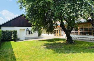 Immobilie kaufen in 2424 Zurndorf, Anlageobjekt - Sonderobjekt viele Möglichkeiten auf 2.587 m2