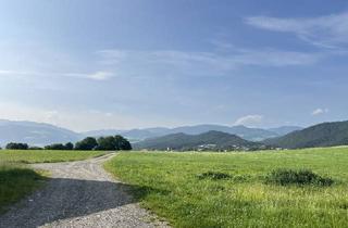 Agrarfläche kaufen in 8770 Sankt Michael in Obersteiermark, 17,24 ha landwirtschaftliches Anwesen