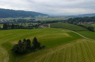 Agrarfläche kaufen in 8733 Sankt Marein bei Knittelfeld, 13 ha Pferde, - Bauernhof teilbar in verschieden Flächen