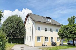 Büro zu mieten in 5081 Anif, Anif / Niederalm - Top Büro