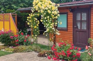 Gewerbeimmobilie kaufen in 7161 Sankt Andrä am Zicksee, Wohn-Container mit Holz Verbau inkl. überdachter Gartenlaube auf einem ! Pachtgrund !