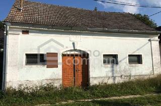 Immobilie mieten in 2225 Zistersdorf, Weinkeller gelangt zur Vermietung - Ideal zum Lagern