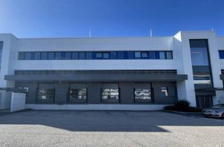 Lager mieten in 2351 Wiener Neudorf, Attraktives Kleinbüro in Wiener Neudorf