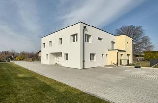 Haus kaufen in 2282 Markgrafneusiedl, Neu! • Erstbezug • Ziegelmassiv • 5 Zimmer • Garten + Terrasse • Top-Lage