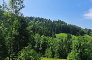Gewerbeimmobilie kaufen in 8573 Kainach bei Voitsberg, Mischwald mit Wiesenfläche und 2 Fischteiche