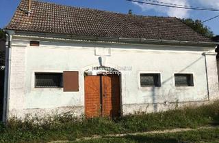 Gewerbeimmobilie mieten in 2225 Zistersdorf, Weinkeller gelangt zur Vermietung - Ideal zum Lagern