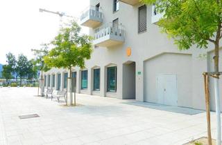 Büro zu mieten in Reininghauspark, 8020 Graz, Bestlage Reininghaus Q5 am PARK repräsentative Praxis-Ordinations-Bürofläche