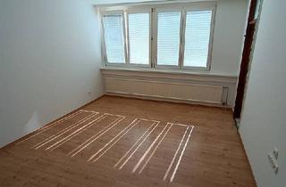 Wohnung mieten in 1100 Wien, Studenten/Single-Garconniere/Hoflage/Max. 2-Pers.